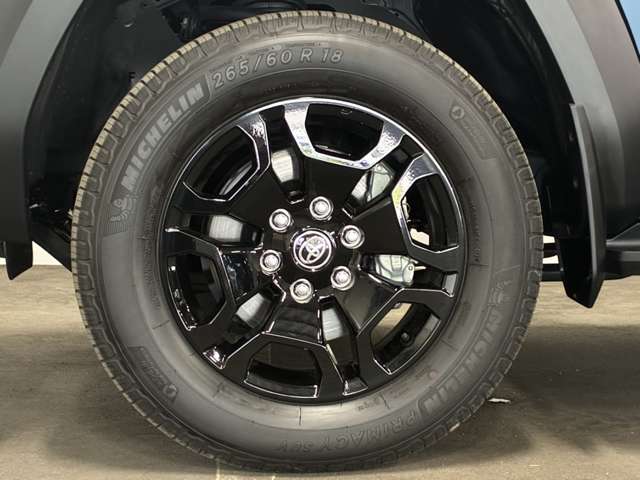 Toyota Land Cruiser FJ 10