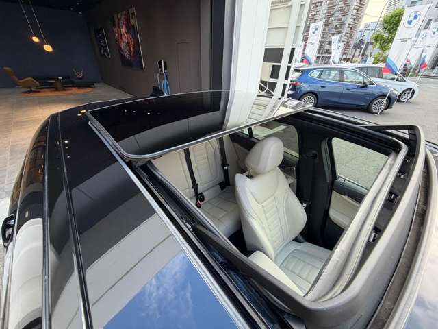 BMW X4 6