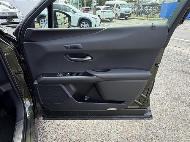 Lexus UX 12