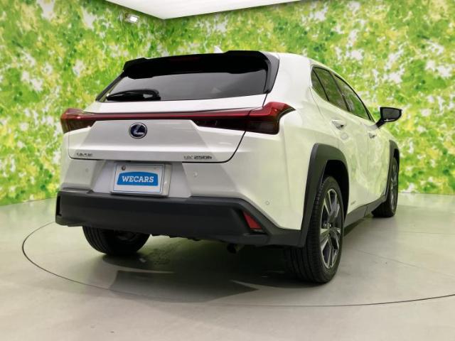 Lexus UX 6