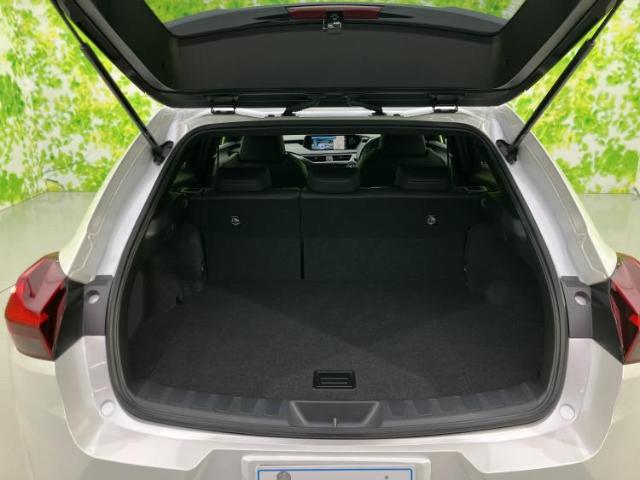 Lexus UX 10