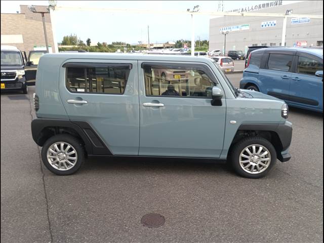 Daihatsu Taft 6