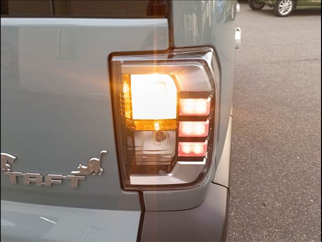 Daihatsu Taft 8