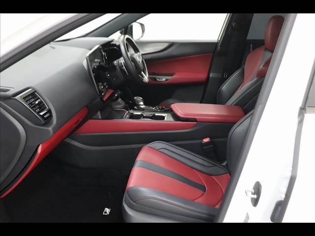 Lexus NX 12