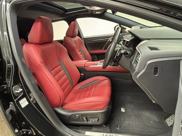 Lexus RX 11