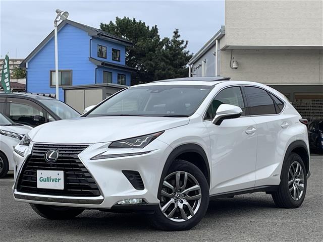 Lexus NX 4