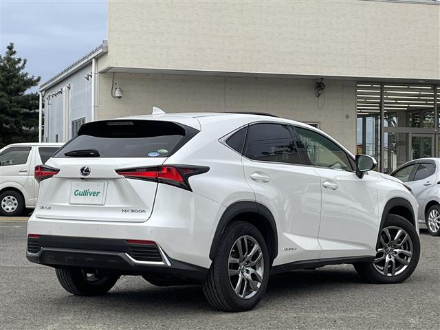 Lexus NX 5