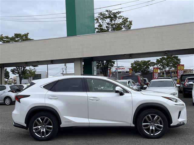 Lexus NX 6