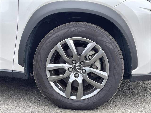 Lexus NX 7
