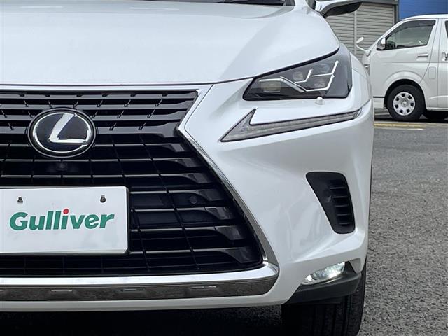 Lexus NX 8