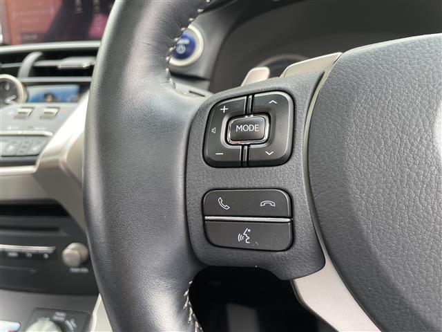 Lexus NX 10