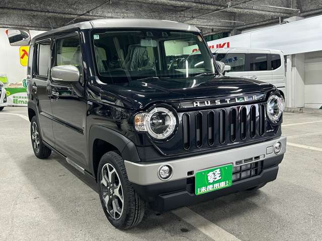 Suzuki Hustler 10