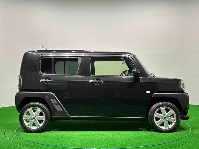 Daihatsu Taft 11