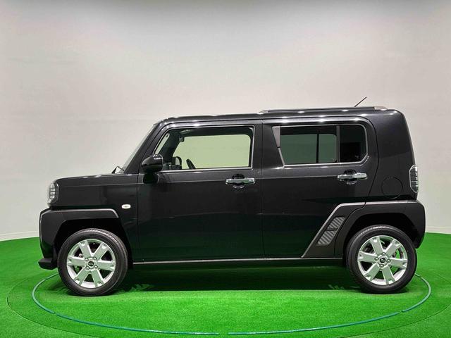 Daihatsu Taft 12