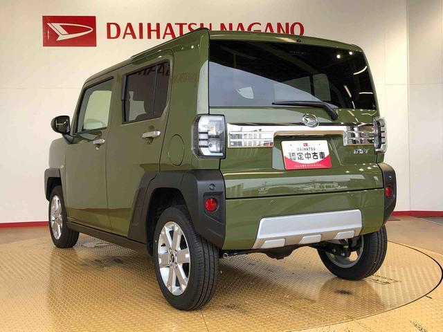 Daihatsu Taft 11