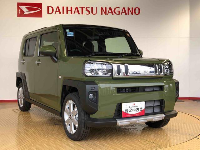 Daihatsu Taft 8