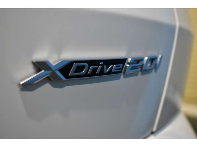 BMW X2 10