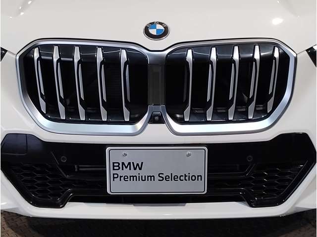 BMW X1 10