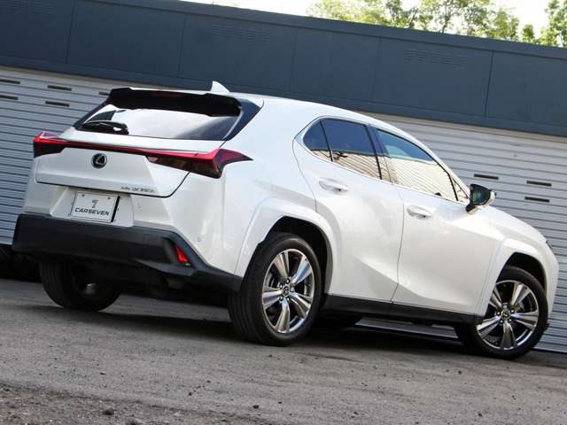 Lexus UX 6