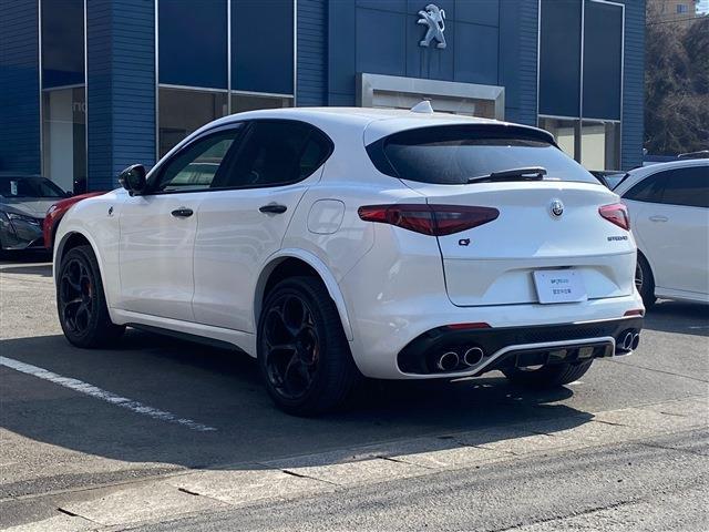 Alfa Romeo Stelvio 7