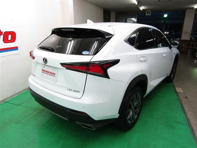 Lexus NX 6