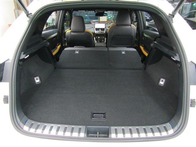 Lexus NX 10