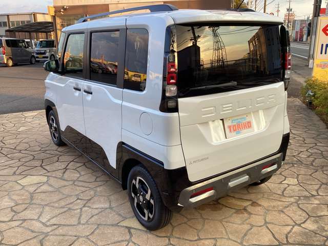 Mitsubishi Delica Mini 9