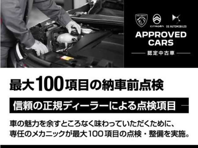 DS Automobiles DS 3 Crossback 5