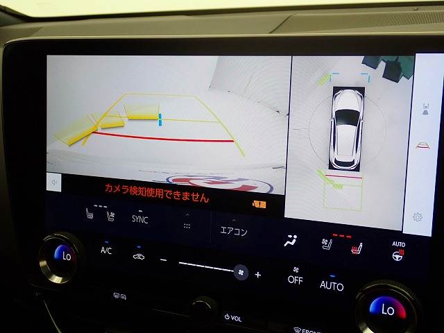 Lexus NX 4
