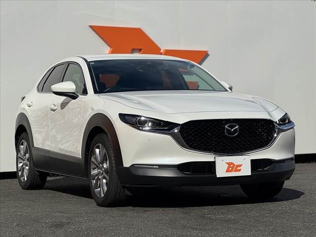 Mazda CX-30 8