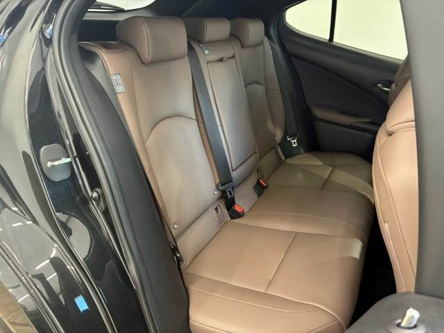 Lexus UX 12