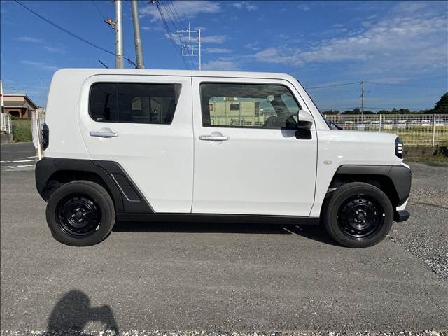 Daihatsu Taft 11