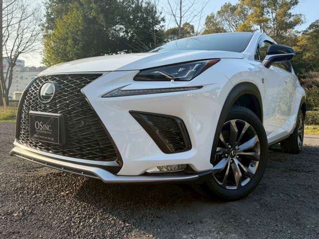 Lexus NX 10