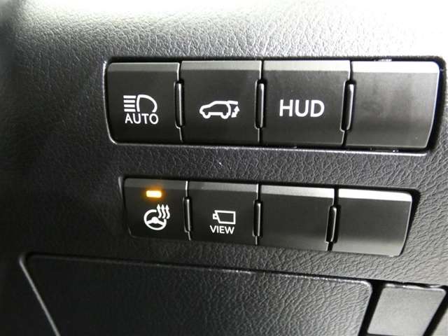 Lexus RX 11