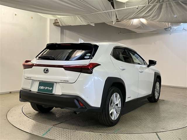Lexus UX 8