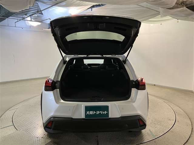 Lexus UX 9