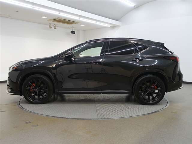 Lexus NX 7