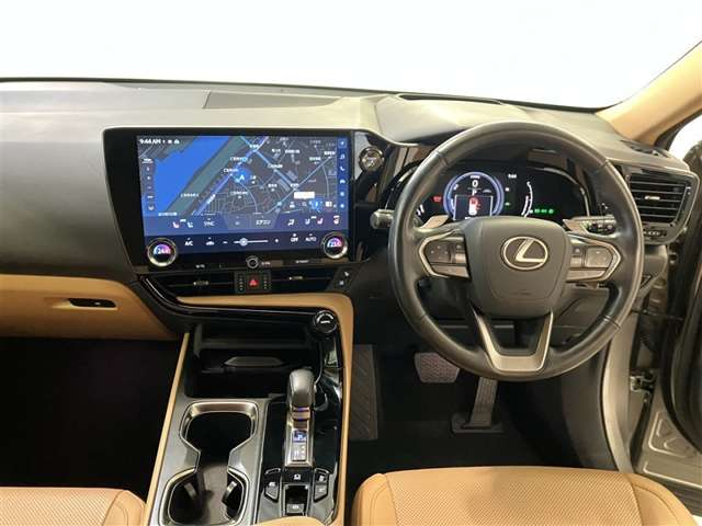 Lexus NX 11