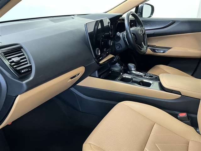 Lexus NX 12