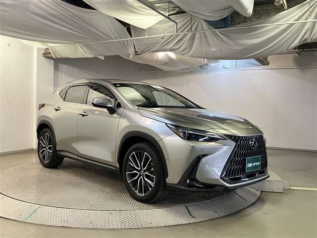 Lexus NX 3