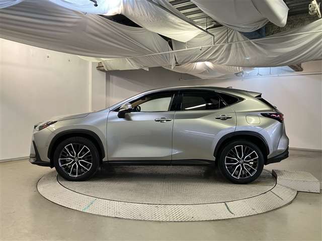 Lexus NX 4