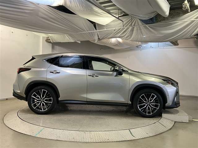 Lexus NX 5