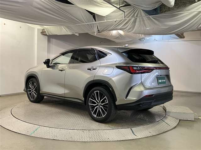 Lexus NX 6