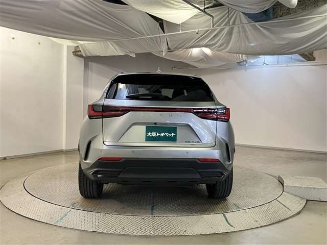 Lexus NX 7