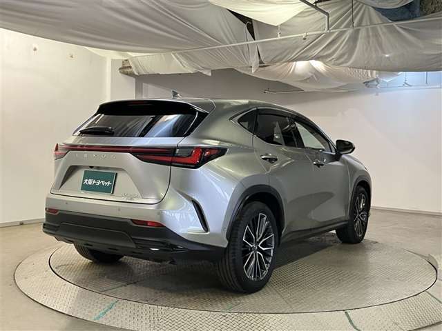 Lexus NX 8