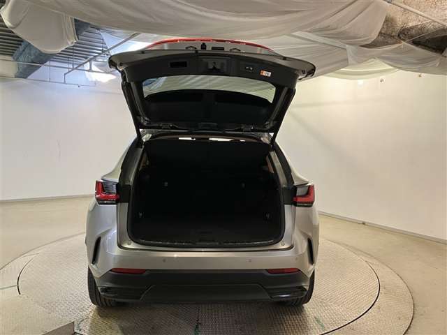 Lexus NX 9