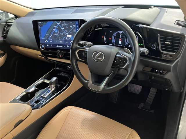 Lexus NX 10