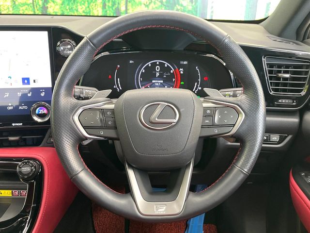 Lexus NX 11