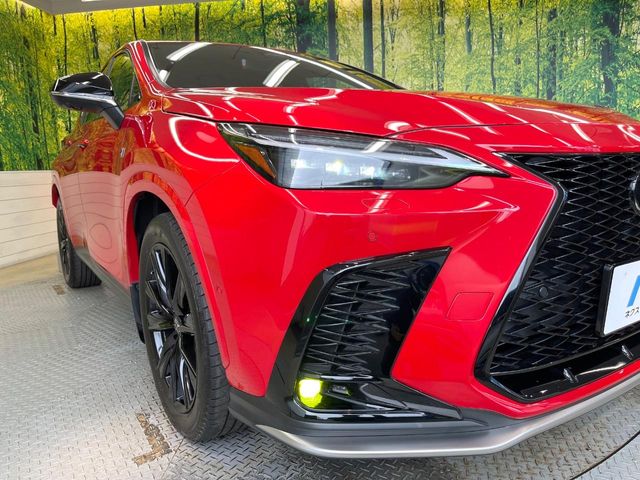Lexus NX 12