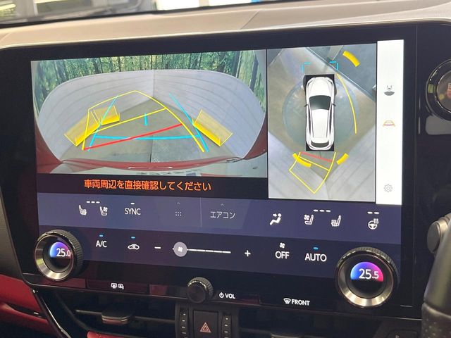 Lexus NX 6